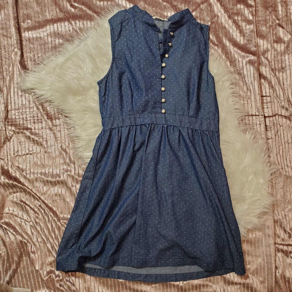 Victorian Style Pin Up Polka Dot Dress